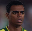 Denilson Leocadio Alves